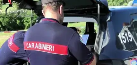 Parma, pitbull dopati per combattere: sequestri in diverse province