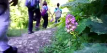 Al via l'ottava edizione di "Cammina Natura"
