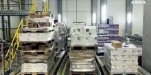 Newcold inaugura a Ferentino il nuovo polo logistico automatizzato
