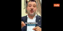 Violenza ai cortei, Salvini: Pi&ugrave; militari e arresto in differita. Chi sbaglia paga
