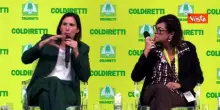 Violenza ai cortei, Schlein: Crosetto riferisca in Parlamento su ipotesi guerra ibrida