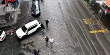 Napoli, imbottivano di medicine cani malati e li vendevano: 5 arresti