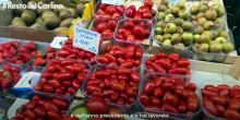 Carovita, quanto costa una giornata a Bologna? Il video