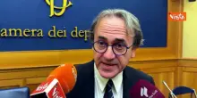 Bonelli: Datterino a 60 centesimi agli agricoltori e a 10 euro al chilo nei mercati, inaccettabile