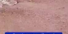 Erosione, com'&egrave; oggi la spiaggia di lido di Volano: il video
