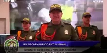 La Colombia sequestra oltre 4.200 pinne di squalo destinate al mercato asiatico