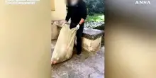 Napoli, studenti ripuliscono la scuola dopo giorni di occupazione