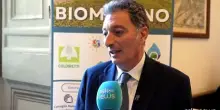 Biometano/Biometano, Vigilante: contributo sicurezza energetica