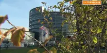 Ambiente, oltre 1,2 milioni di firme contro l&rsquo;indebolimento delle tutele UE