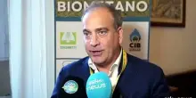 Biometano agricolo, Gattoni (CIB): serve quadro stabile