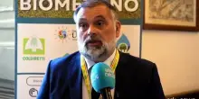Biometano, sen. De Carlo: agricoltura centrale