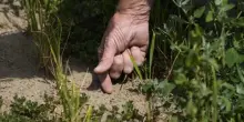 Crisi climatica, la nuova ondata di caldo fa contare i danni ma il Piano nazionale di adattamento &egrave; al palo