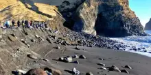Reynisfjara sparisce, in Islanda cancellata la spiaggia pi&ugrave; pericolosa del mondo: &ldquo;Erosione dal mare rapidissima&rdquo;