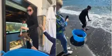 Turiste americane comprano astici di un ristorante e li liberano in mare, ma la rete si scatena