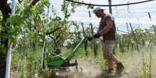 Il lavoro povero ignorato dal decreto, i salari siano giusti e anche oggettivi