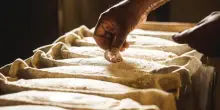 Nuovi vincoli per i produttori di pane, il dl separa tradizione e innovazione