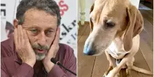 Il cane di Michele Serra sbranato dai lupi, il giornalista piange il suo &ldquo;Osso&rdquo;