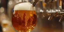 Il mercato della Birra &egrave; in lieve flessione, cresce il segmento low e no alcol