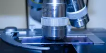 Trasformare l&rsquo;innovazione in un modello sostenibile per vincere le malattie rare