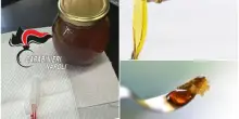 Che cos&rsquo;&egrave; il miele dello sballo, il concentrato di marijuana che viene acquistato online: 17enne di Napoli in fin di vita