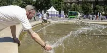 Pi&ugrave; alberi, meno asfalto (che restituisce il caldo): cos&igrave; Milano pu&ograve; abbassare la temperatura di 4 &deg;C