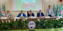 Fumarola a Catania chiede interventi strutturali: autonomia reale ai ragazzi del Sud
