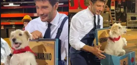 Affari Tuoi, perch&eacute; Gennarino non far&agrave; pi&ugrave; parte della trasmissione