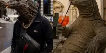 Il varano che si aggira nel bresciano &egrave; ancora a piede libero: allargate le zone vietate