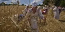Ucraina, la guerra e la crisi del grano (a rischio dumping): il d&eacute;j&agrave; vu di Zelensky e l&rsquo;ostilit&agrave; dei Paesi alleati