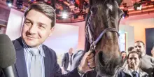 E&rsquo; morto Varenne, il cavallo pi&ugrave; veloce di tutti i tempi: l&rsquo;acquisto per 150 milioni di lire, i 2mila figli e quell&rsquo;inchino alle bandiere italiane dopo l&rsquo;ennesima vittoria