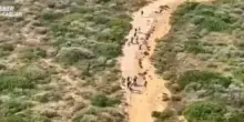 Turista 17enne travolta da barchino con 14 migranti a bordo: tragedia sfiorata in Sardegna, arrestato scafista