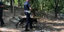 A destra il racconto si radicalizza parlando di ordine