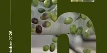 F&egrave;Xtra 2026: dal 9 al 18 ottobre Mattinata festeggia le sei edizioni della festa dell&rsquo;extravergine