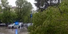 Jesolo, albero si abbatte sull&rsquo;auto di militare: morto sul colpo mentre andava a lavoro