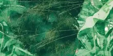 Il mondo verde di NDiaye