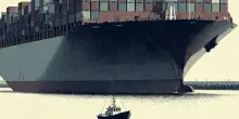 Gioia Tauro, cinque barche fermano una nave con componenti militari per Israele