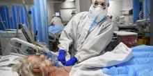 Quell&rsquo;emendamento di FdI che riabilita i medici no vax. Bassetti: &ldquo;Uno schiaffo a chi &egrave; morto e a chi ha salvato il Paese&rdquo;