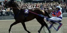 Chi &egrave; Varenne, il cavallo da trotto pi&ugrave; famoso e vincente della storia dell&rsquo;ippica morto oggi a 31 anni