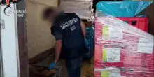 Pet food online, controlli dei Nas: sequestrate 60 tonnellate di alimenti e 200 mila confezioni