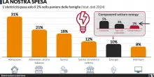 Solo il 2% della spesa delle famiglie va in elettricit&agrave;, pesa di pi&ugrave; il pieno