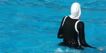 Nelle piscine di mezza Italia si nuota nella sharia: vietati i tuffi agli uomini