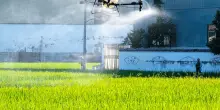 Pesticidi, se passa il piano Ue colazione salata per tutti