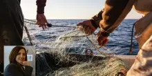 &laquo;I burocrati Ue non conoscono il Mediterraneo&raquo;