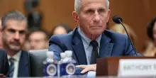 Il Senato americano dichiara Fauci colpevole di oltraggio al Congresso