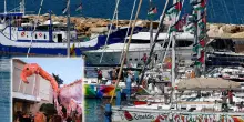 Dai bambini palestinesi ai fenicotteri. La Flotilla adesso punta sull&rsquo;Albania