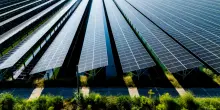 Se lo fa Tel Aviv, il Pd schifa il green
