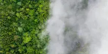 Riscaldamento globale ridotto a barzelletta dai suoi stessi corifei