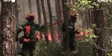 Grecia in fiamme: incendio a 70 chilometri da Atene minaccia Porto Germeno