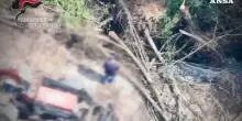 Vibo Valentia, ripreso da un drone mentre appicca un incendio: arrestato