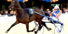 Addio a Varenne, il cavallo pi&ugrave; forte del mondo